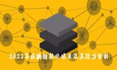 2023年区块链新兴项目及其潜力分析