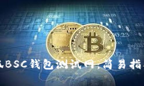 深度解析小狐BSC钱包测试网：简易指南与常见问题