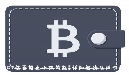 USDT能否转至小狐钱包？详细解读及操作指南