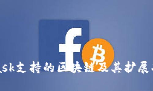 MetaMask支持的区块链及其扩展功能详解