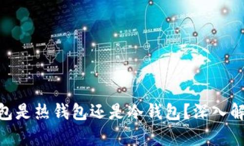 MetaMask钱包是热钱包还是冷钱包？深入解析与使用指南