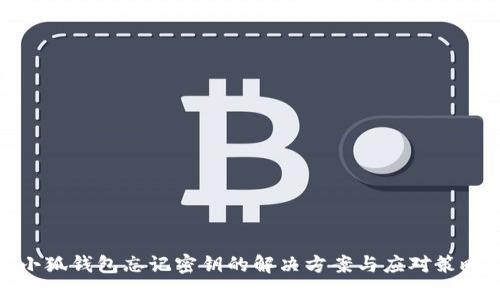 小狐钱包忘记密钥的解决方案与应对策略