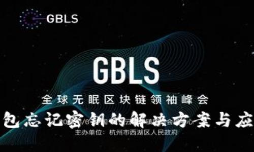 小狐钱包忘记密钥的解决方案与应对策略
