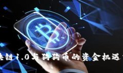 区块链1.0与狗狗币的资金机遇分析