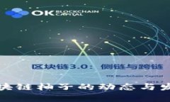 最新区块链柚子的动态与发展分析
