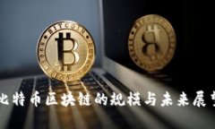 比特币区块链的规模与未来展望