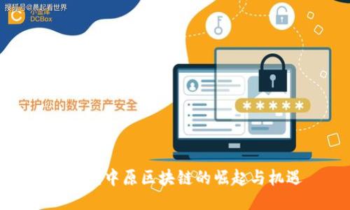CYB币：中原区块链的崛起与机遇