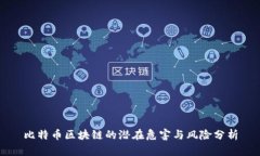 比特币区块链的潜在危害与风险分析