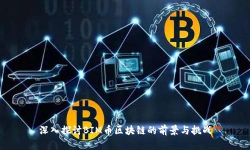 深入探讨BIM币区块链的前景与挑战