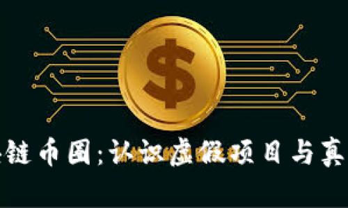 伪区块链币圈：认识虚假项目与真相探讨