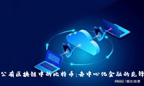 公有区块链中的比特币：去中心化金融的先锋