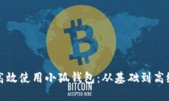 如何高效使用小狐钱包：从基础到高级技巧