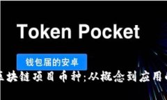 深入探索区块链项目币种