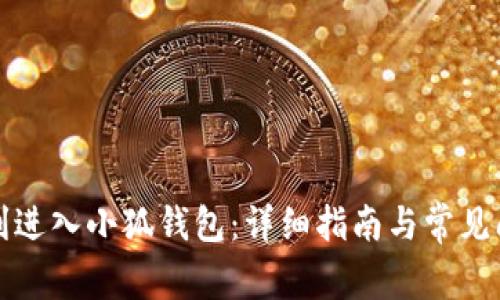 如何顺利进入小狐钱包：详细指南与常见问题解答