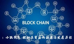 : 小狐钱包：探秘其背后的