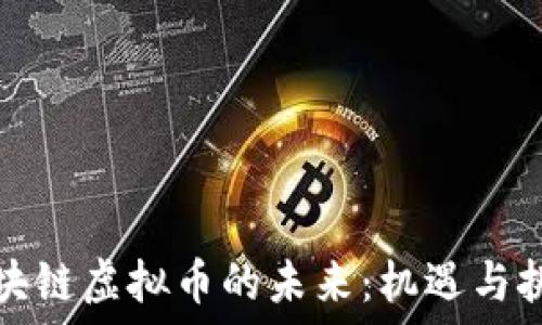   
区块链虚拟币的未来：机遇与挑战