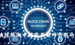 如何在区块链热潮中捕获