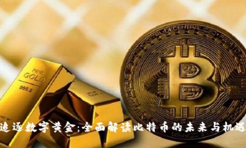 追逐数字黄金：全面解读比特币的未来与机遇