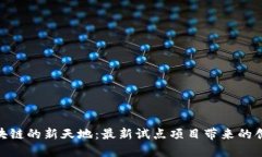 探寻区块链的新天地：最