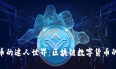 探寻比特币的迷人世界：