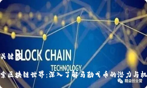 与关键词

探索区块链世界：深入了解马勒戈币的潜力与机遇