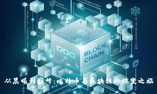 从晨曦到巅峰：比特币与区块链的演变之旅