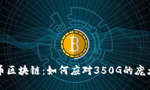 揭秘比特币区块链：如何应对350G的庞大数据挑战