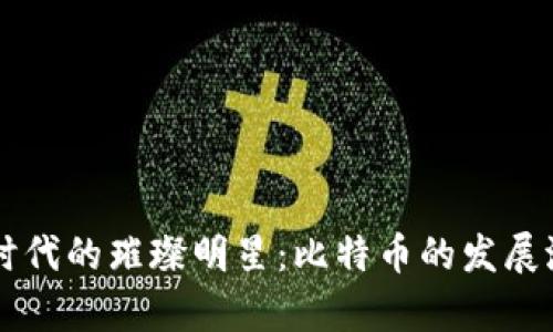 区块链时代的璀璨明星：比特币的发展潜力分析