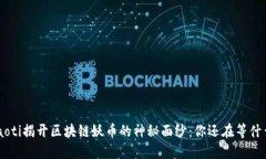 ziaoti揭开区块链妖币的神