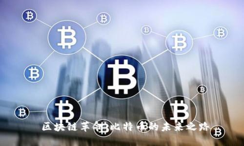  区块链革命：比特币的未来之路