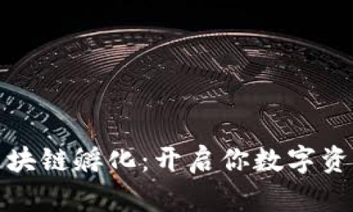 探索火币区块链孵化：开启你数字资产的新征程