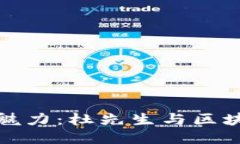 探索比特币的魅力：杜先