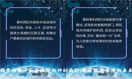 揭开比特币和区块链的神秘面纱：走进数字货币的未来