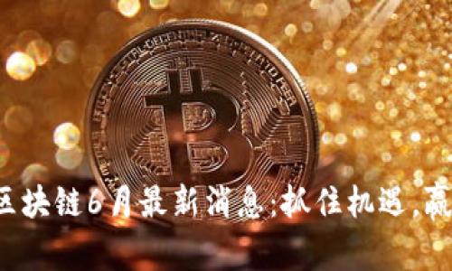 小蚂蚁区块链6月最新消息：抓住机遇，赢在未来！