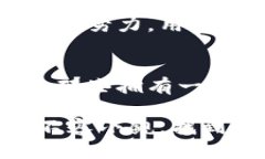 小狐钱包 vs. Token.im：如何