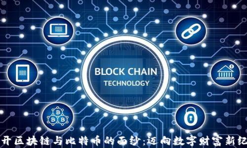 
揭开区块链与比特币的面纱：迈向数字财富新纪元