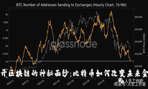 揭开区块链的神秘面纱：比特币如何改变未来金融