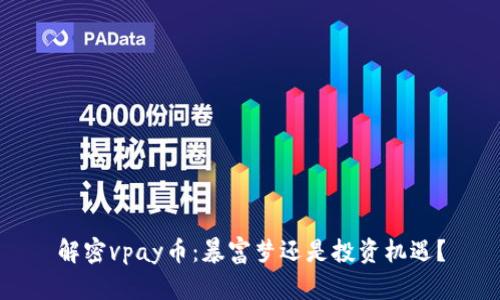 解密vpay币：暴富梦还是投资机遇？