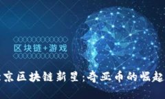 探秘北京区块链新星：奇