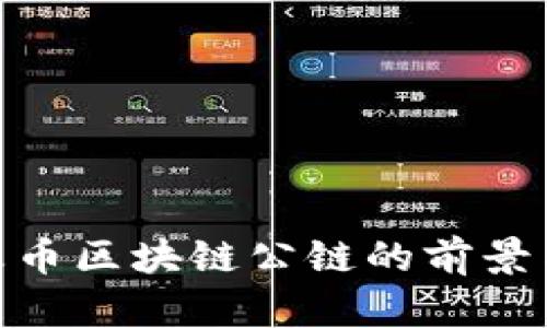 探索火币区块链公链的前景与机遇