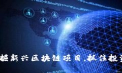 如何发掘新兴区块链项目