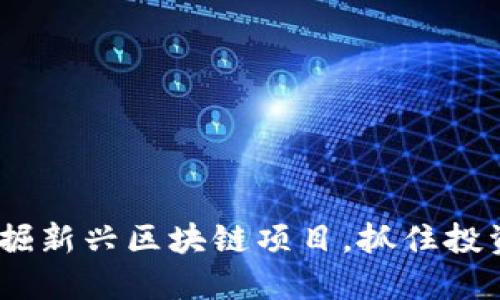 如何发掘新兴区块链项目，抓住投资先机 