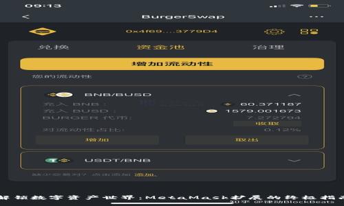 解锁数字资产世界：MetaMask扩展的终极指南