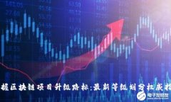 掌握区块链项目升级路标