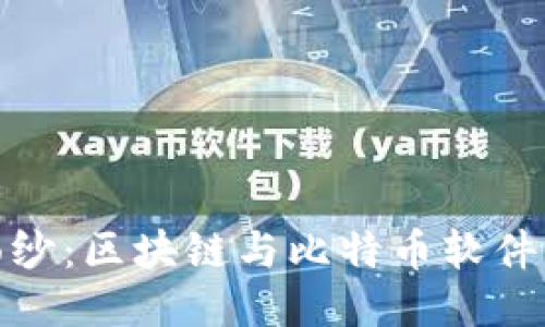 揭开神秘面纱：区块链与比特币软件的未来之路