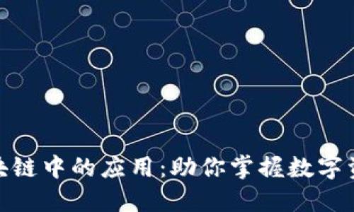 小币在区块链中的应用：助你掌握数字资产新机遇