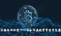 区块链的秘密：BTC币如何