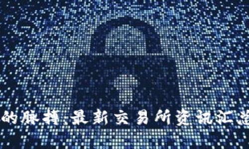 抓住区块链时代的脉搏：最新交易所资讯汇总，助你领航未来！