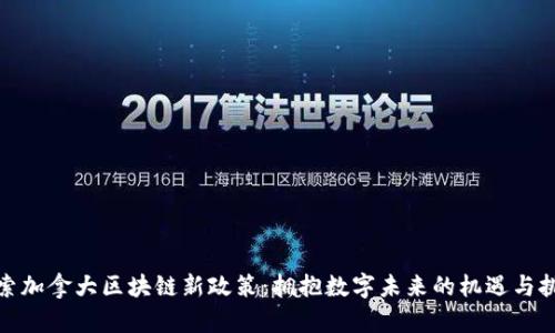 探索加拿大区块链新政策：拥抱数字未来的机遇与挑战