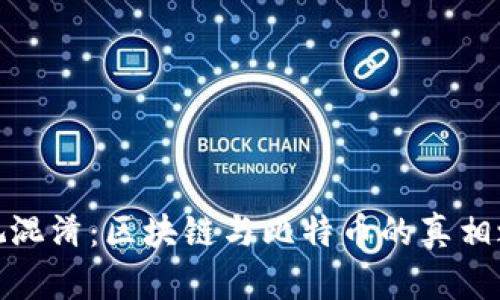 透视混淆：区块链与比特币的真相之旅